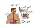 انجام ۴۳۶ مورد آندوسکوپی و کلونسکوپی در  مرکز آموزشی درمانی سجادیه تربت جام