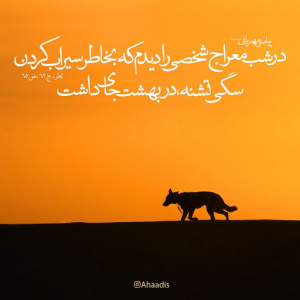 عواقب حیوان آزاری