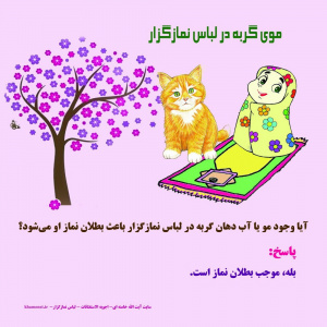 نماز و آلودگی با آب دهان گربه