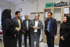 بازدید دکتر عباس عبادی معاون پرستاری وزارت بهداشت از شهرستان تربت جام