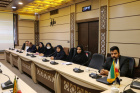 برگزاری جلسه کارگروه پیشگیری از سقط عمدی جنین در تربت جام