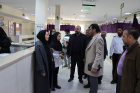 تجلیل و قدردانی از کادر درمان شهرستان تربت جام