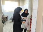پایش کیفیت خدمات بهداشتی در روستای چشمه‌گل