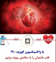 سال گذشته ۵۳۵ نفر بر اثر  بیماریهای قلبی  و عروقی در تربت جام جان خود را دست داده اند