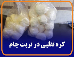 با خرید مواد غذایی از فروشندگان دوره گرد سلامت خود را به خطر نیندازید