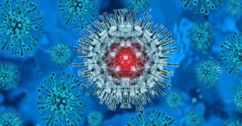 در مورد آبله میمونی چه می دانید؟
