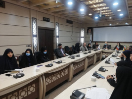جلسه  کمیته دانشگاهی (مرگ مادر باردار)