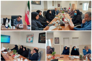 برگزاری کمیته تخصصی " درمان و مراقبت" ذیل قرارگاه جوانی جمعیت
