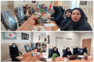 برگزاری کمیته تخصصی " درمان و مراقبت" ذیل قرارگاه جوانی جمعیت