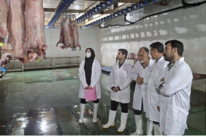 بازدید مشترک کارشناسان معاونت بهداشت دانشکده علوم پزشکی و شبکه دامپزشکی تربت جام از کشتارگاه صنعتی شهرستان تربت جام در آستانه عید سعید قربان