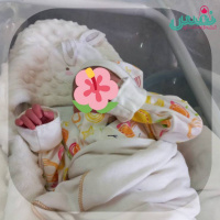 تولد پنجمین نوزاد نجات یافته مرکز نفس