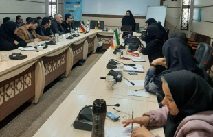 پایش شاخص‌های سلامت روان در مراکز شهری و روستایی؛ تأکید بر تکمیل چرخه درمان و مراقبت‌های دوره‌ای بیماران