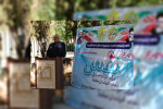 سقط جنین" هیچ تفاوتی با "قتل نفس" ندارد
