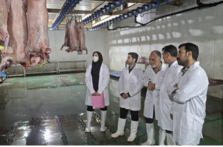 بازدید مشترک کارشناسان معاونت بهداشت دانشکده علوم پزشکی و شبکه دامپزشکی تربت جام از کشتارگاه صنعتی شهرستان تربت جام در آستانه عید سعید قربان