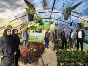 برنامه‌ریزی برای توسعه فضای سبز حوزه سلامت تربت‌جام/ بازدید ستاد نوروزی از مجتمع گلخانه‌ای «باغ بهشت»