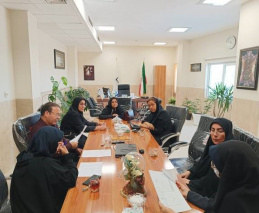 برگزاری کمیته تخصصی سزارین در معاونت درمان با هدف ارتقای کیفیت خدمات