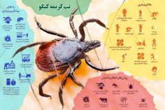 آشنایی با بیماری تب خونریزی دهنده تب کریمه کنگو