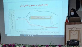 جلسه هماهنگی درون بخشی صیانت از جمعیت برگزار شد