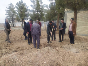 گزارش تصویری/ کاشت نهال در معاونت آموزشی دانشکده علوم پزشکی تربت جام