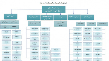 نمودار سازمانی