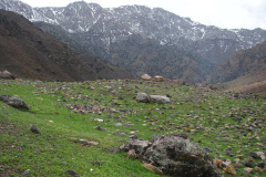 طبیعت روستای بزد