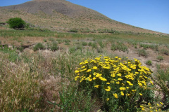 درمسیرصالح آباد 