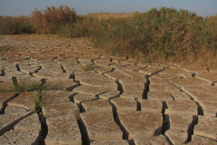 تربت جام در قاب تصویر