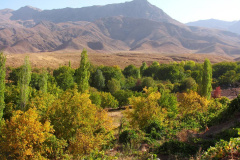 طبیعت روستای ابدال آباد 