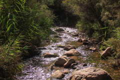 طبیعت روستای ابدال آباد 