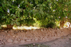 طبیعت روستای ابدال آباد 