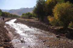 طبیعت روستای ابدال آباد 