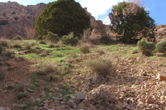 طبیعت روستای بزد