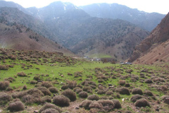 طبیعت روستای بزد