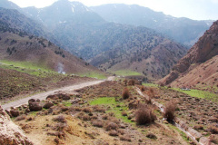 طبیعت روستای بزد