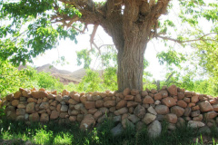 طبیعت روستای رونج