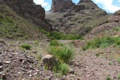 طبیعت روستای میانسرا