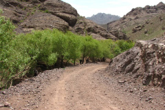 طبیعت روستای میانسرا