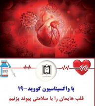 سال گذشته ۵۳۵ نفر بر اثر  بیماریهای قلبی  و عروقی در تربت جام جان خود را دست داده اند